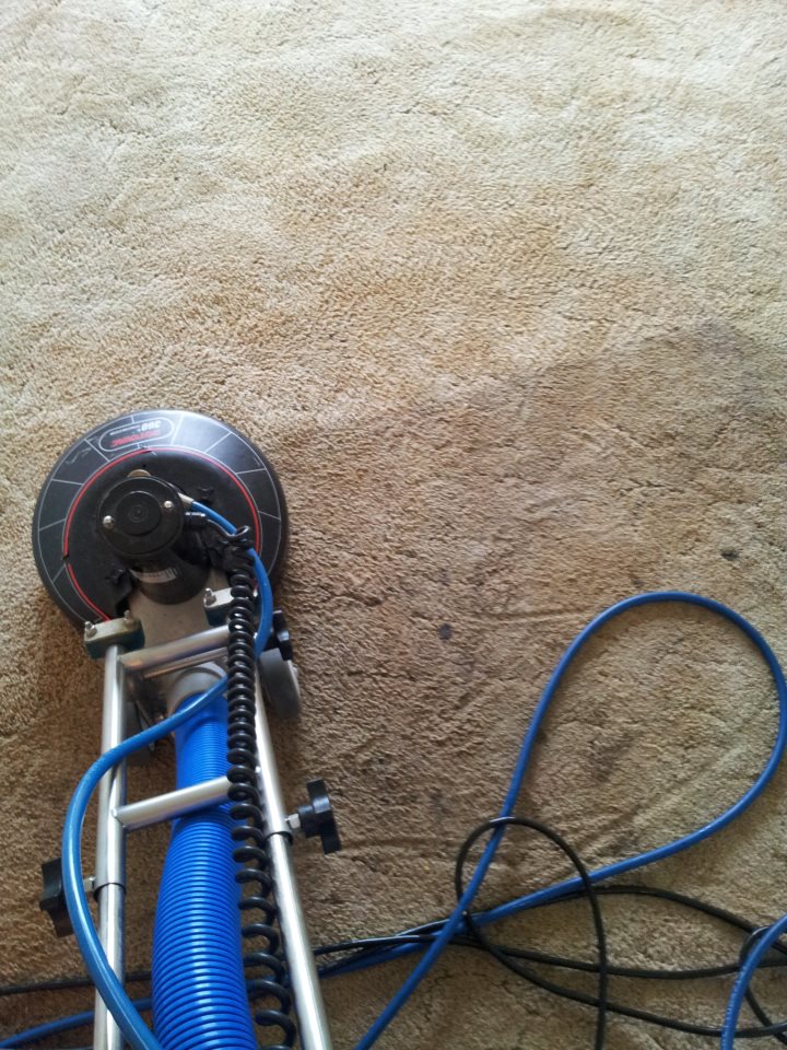 Carpet Cleaners Mount Vernon WA